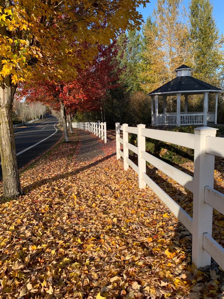 side of a park in beaverton oregon
